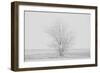 Peaceful Reflection-Paige Craig-Framed Giclee Print