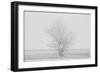 Peaceful Reflection-Paige Craig-Framed Giclee Print