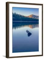 Peaceful Reflections at Tenaya Lake, Yosemite California-Vincent James-Framed Photographic Print