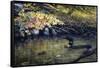 Peaceful Reflections-Kevin Dodds-Framed Stretched Canvas