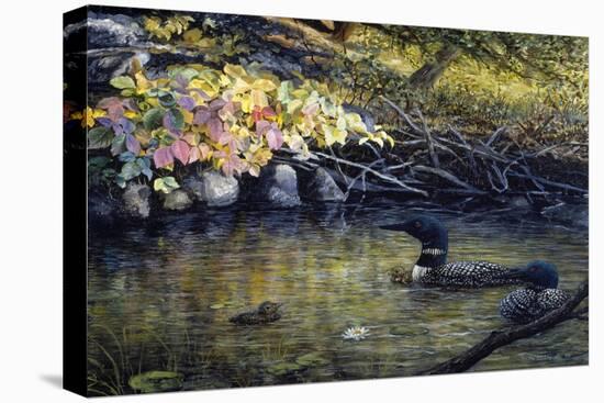Peaceful Reflections-Kevin Dodds-Stretched Canvas