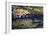 Peaceful Reflections-Kevin Dodds-Framed Giclee Print