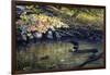 Peaceful Reflections-Kevin Dodds-Framed Giclee Print