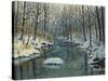 Peaceful Sanctuary-Bruce Dumas-Stretched Canvas