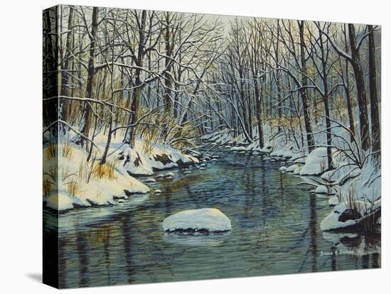 Peaceful Sanctuary-Bruce Dumas-Stretched Canvas