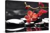 Peaceful Setting-crystalfoto-Stretched Canvas
