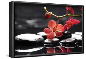 Peaceful Setting-crystalfoto-Framed Photographic Print