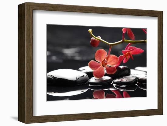 Peaceful Setting-crystalfoto-Framed Photographic Print