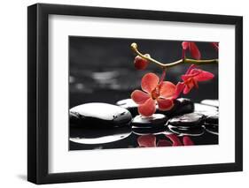 Peaceful Setting-crystalfoto-Framed Photographic Print