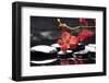 Peaceful Setting-crystalfoto-Framed Photographic Print