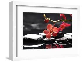 Peaceful Setting-crystalfoto-Framed Photographic Print