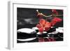 Peaceful Setting-crystalfoto-Framed Photographic Print