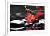 Peaceful Setting-crystalfoto-Framed Photographic Print