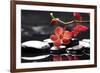 Peaceful Setting-crystalfoto-Framed Photographic Print