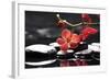 Peaceful Setting-crystalfoto-Framed Photographic Print