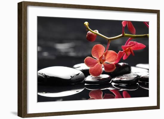 Peaceful Setting-crystalfoto-Framed Photographic Print