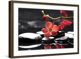 Peaceful Setting-crystalfoto-Framed Photographic Print