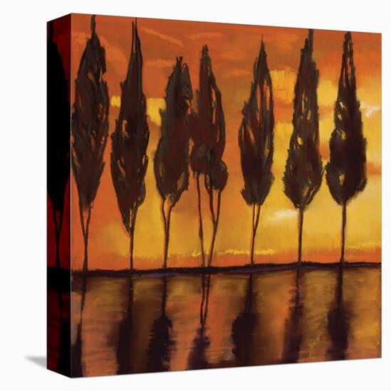 Peaceful Trees at Sunset-Judith D'Agostino-Stretched Canvas