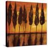 Peaceful Trees at Sunset-Judith D'Agostino-Stretched Canvas