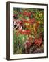 Peaceful Woods I-David Drost-Framed Photographic Print