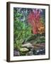 Peaceful Woods II-David Drost-Framed Photographic Print