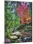 Peaceful Woods II-David Drost-Mounted Photographic Print