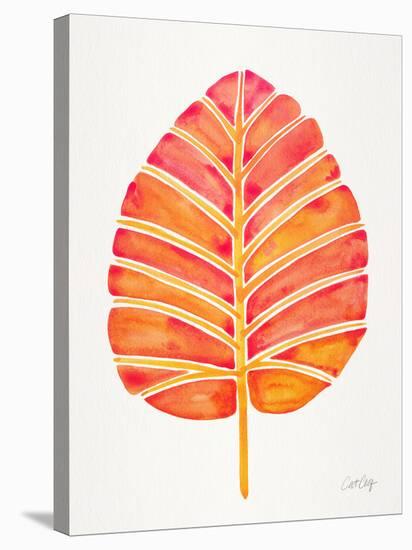 Peach Alocasia-Cat Coquillette-Stretched Canvas