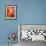Peach Amaryllis, Edgewater, Florida-Lisa S^ Engelbrecht-Framed Photographic Print displayed on a wall