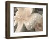 Peach and Droplets-null-Framed Photographic Print