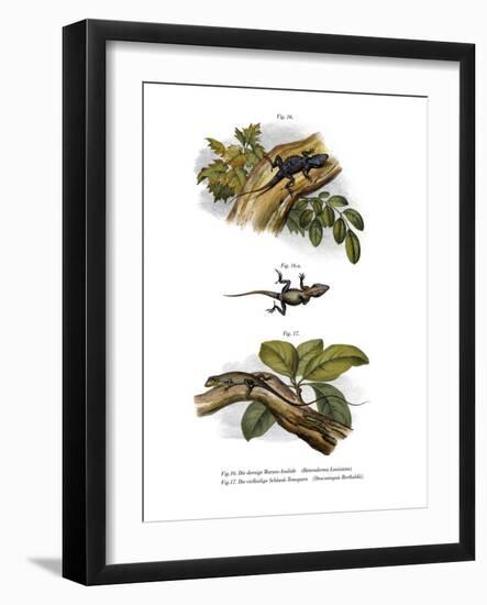 Peach Anole-null-Framed Giclee Print