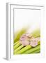 Peach Blossom and Blades of Grass-Andrea Haase-Framed Photographic Print