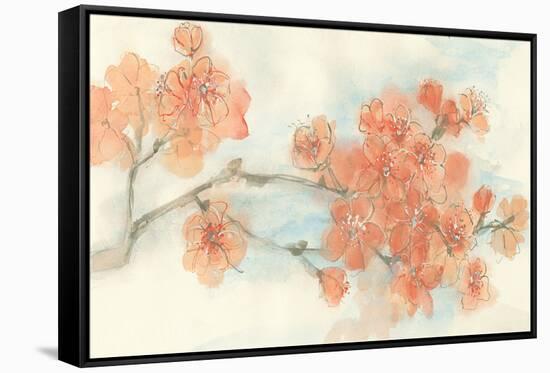 Peach Blossom I-Chris Paschke-Framed Stretched Canvas