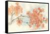 Peach Blossom I-Chris Paschke-Framed Stretched Canvas