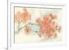 Peach Blossom I-Chris Paschke-Framed Art Print