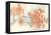 Peach Blossom I-Chris Paschke-Framed Stretched Canvas