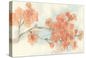 Peach Blossom I-Chris Paschke-Stretched Canvas