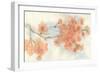 Peach Blossom I-Chris Paschke-Framed Art Print