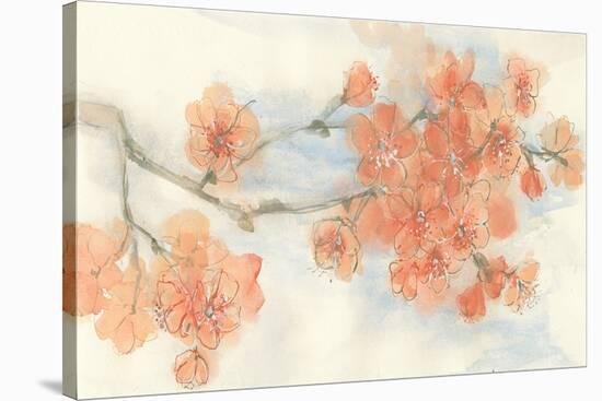 Peach Blossom I-Chris Paschke-Stretched Canvas