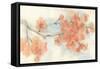 Peach Blossom I-Chris Paschke-Framed Stretched Canvas