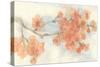Peach Blossom I-Chris Paschke-Stretched Canvas
