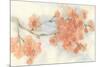 Peach Blossom I-Chris Paschke-Mounted Art Print