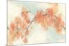 Peach Blossom II-Chris Paschke-Mounted Premium Giclee Print