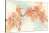 Peach Blossom II-Chris Paschke-Stretched Canvas