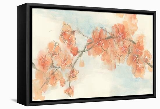 Peach Blossom II-Chris Paschke-Framed Stretched Canvas