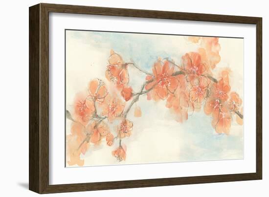 Peach Blossom II-Chris Paschke-Framed Art Print