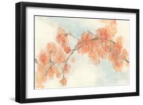 Peach Blossom II-Chris Paschke-Framed Art Print