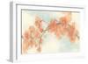 Peach Blossom II-Chris Paschke-Framed Art Print