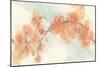 Peach Blossom II-Chris Paschke-Mounted Art Print