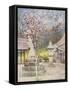 Peach-Blossom-Mortimer Ludington Menpes-Framed Stretched Canvas