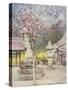 Peach-Blossom-Mortimer Ludington Menpes-Stretched Canvas